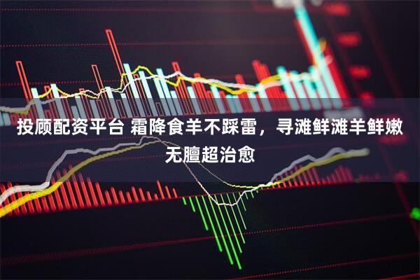 投顾配资平台 霜降食羊不踩雷，寻滩鲜滩羊鲜嫩无膻超治愈
