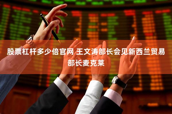 股票杠杆多少倍官网 王文涛部长会见新西兰贸易部长麦克莱