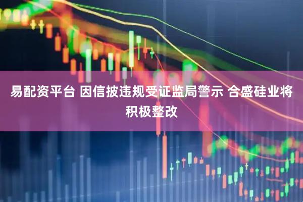 易配资平台 因信披违规受证监局警示 合盛硅业将积极整改