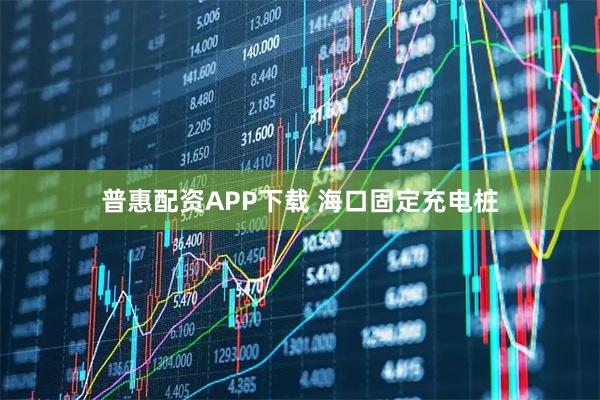 普惠配资APP下载 海口固定充电桩