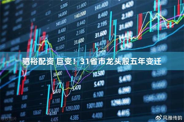 驷裕配资 巨变！31省市龙头股五年变迁